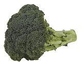 brocoli,cancer,prostata,conopida,varza,